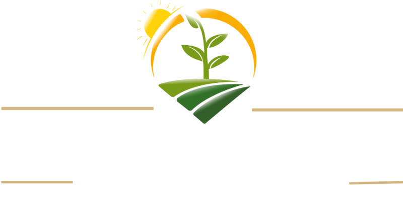 Kerimoğlu Mühendislik